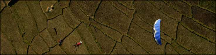 Paragliding over rice fields, Nepal